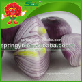 Chinese fresh red onions in mesh bag